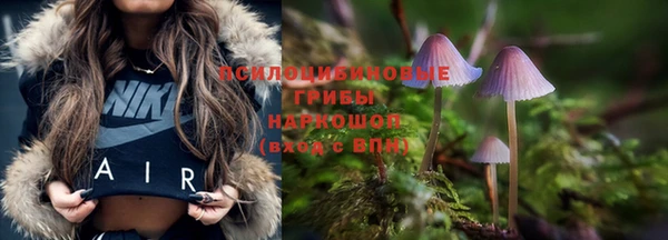 эйфоретик Алексеевка