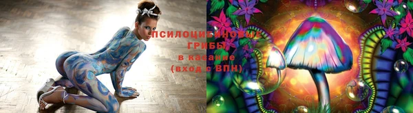 первитин Абинск