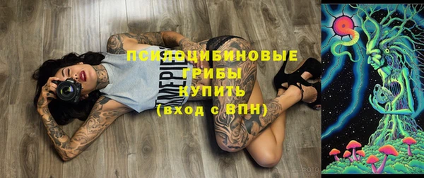ECSTASY Приозерск