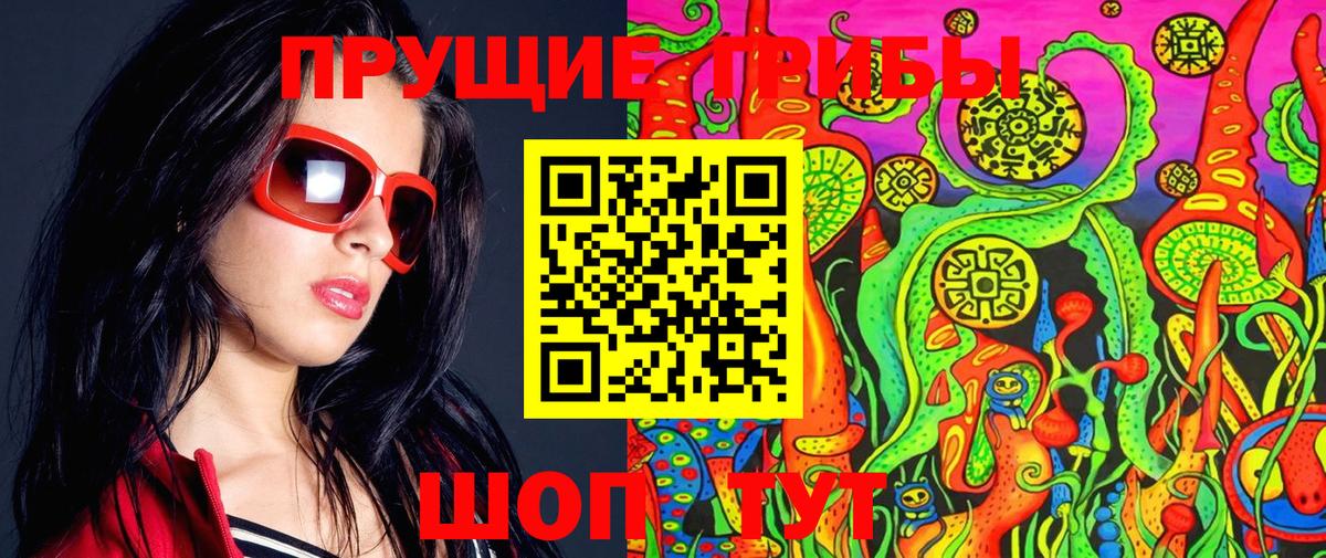 Галлюциногенные грибы Cubensis  Вход с VPN  Рассказово 