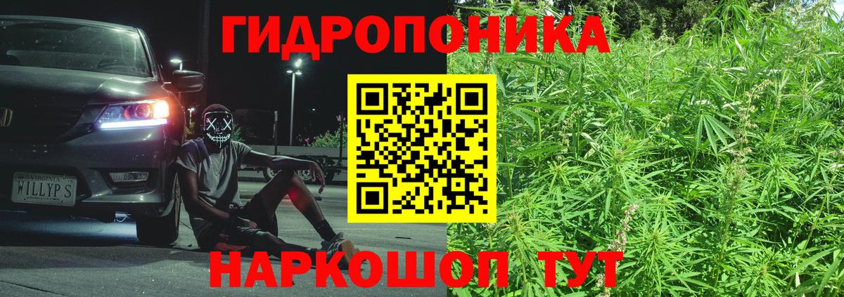 Рассказово  Конопля OG Kush  Вход с VPN  Марихуана ГИДРОПОН 